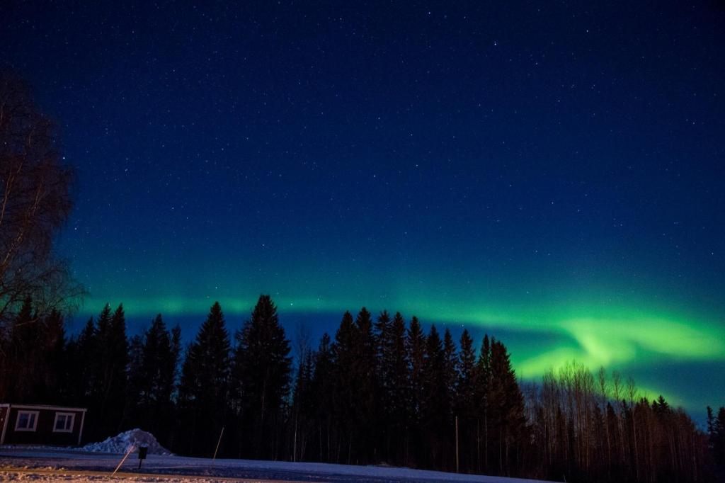 Aurore boréale au-dessus de Lappland Pro Natur