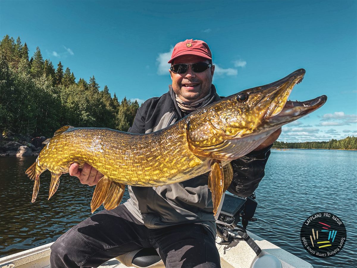 Pêcheur avec un brochet chez Lappland Pro Natur