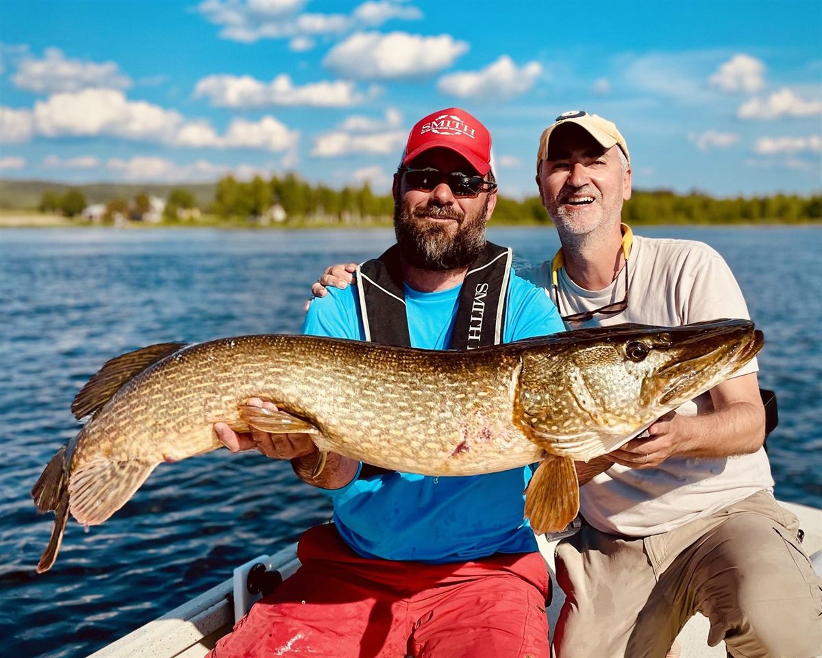Clients avec un brochet en Laponie suédoise