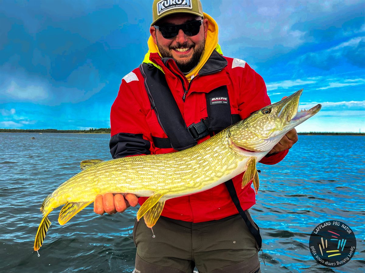 Pêcheur avec un brochet en Laponie suédoise