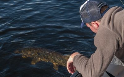 Philosophie du Catch and Release