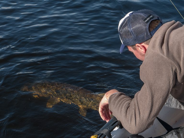Philosophie du Catch and Release