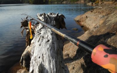 Lappland Pro Natur fait « peau neuve » en 2014