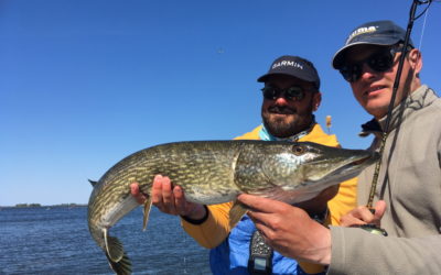 2018 Une saison folle de pêche aux brochets en Finlande et en Suède !