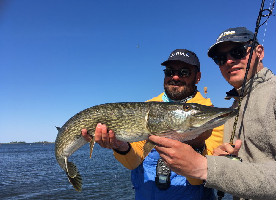 2018 Une saison folle de pêche aux brochets en Finlande et en Suède !