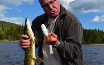 Pêcher sans ardillons