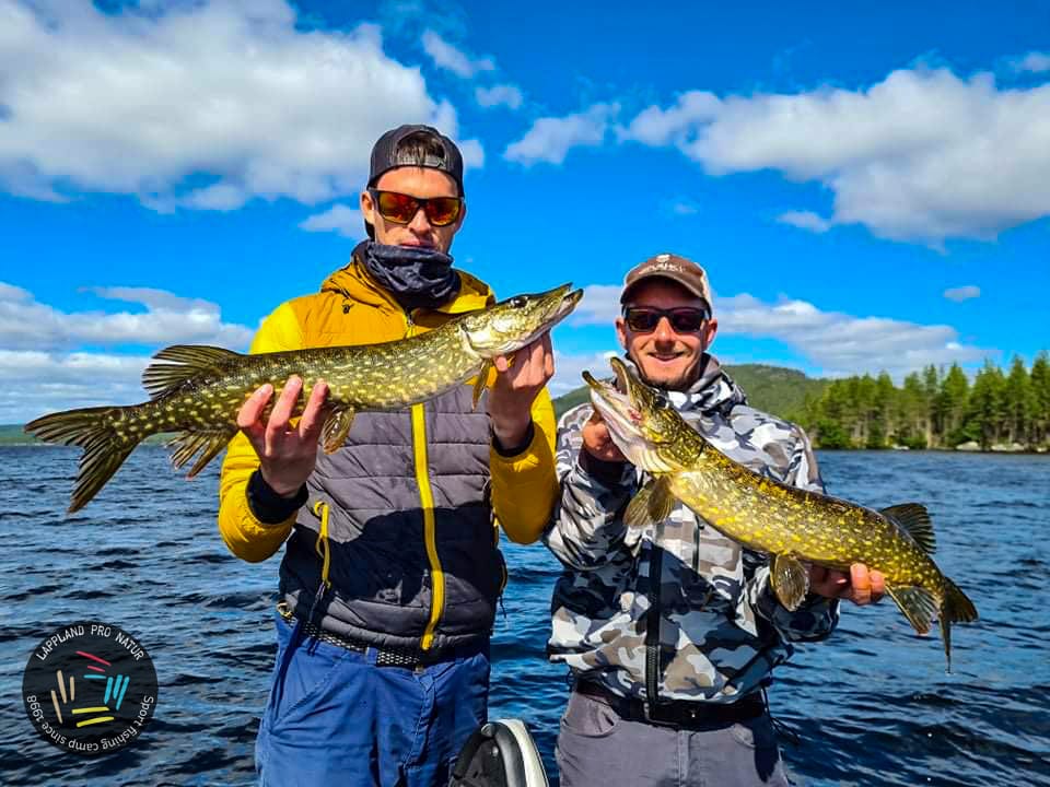 Jig Hochets De Pêche UV Lot De Leurres - Brochet Truite Musky - Neuf